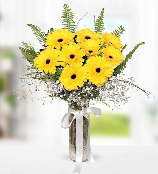 Yellow Gerbera in Vase