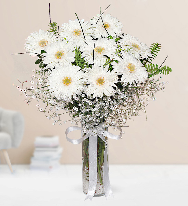 White Gerbera in Vase