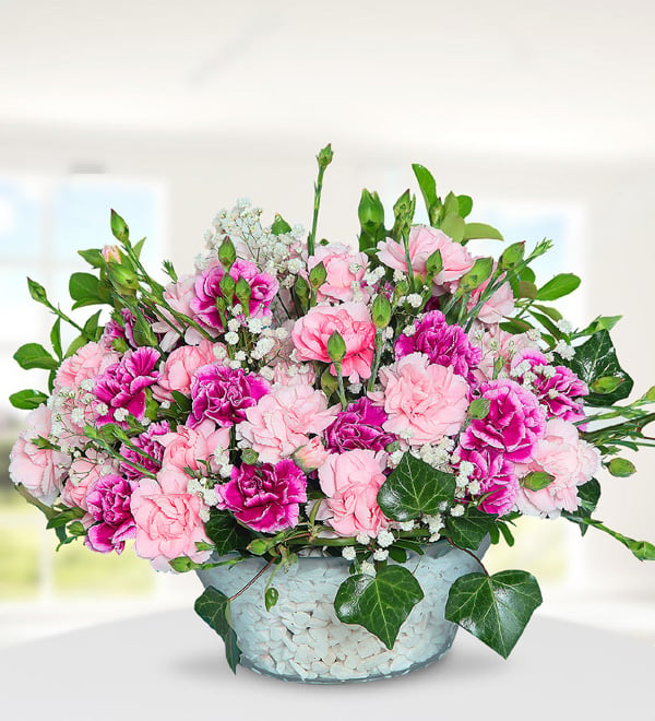 Colorful Carnations in Vase