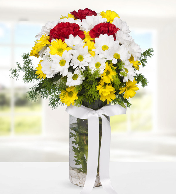 Carnations and Colorful Daisies