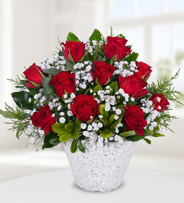 Red Roses in Conical Vase