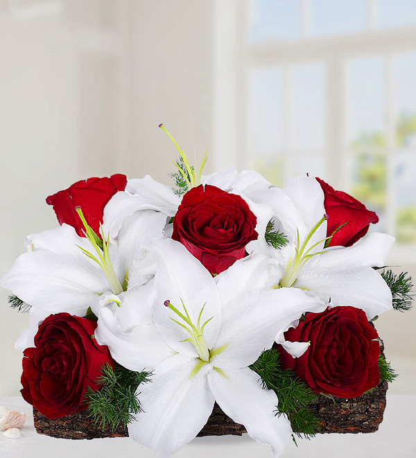 Nobleness of White Lilium and Red Rose