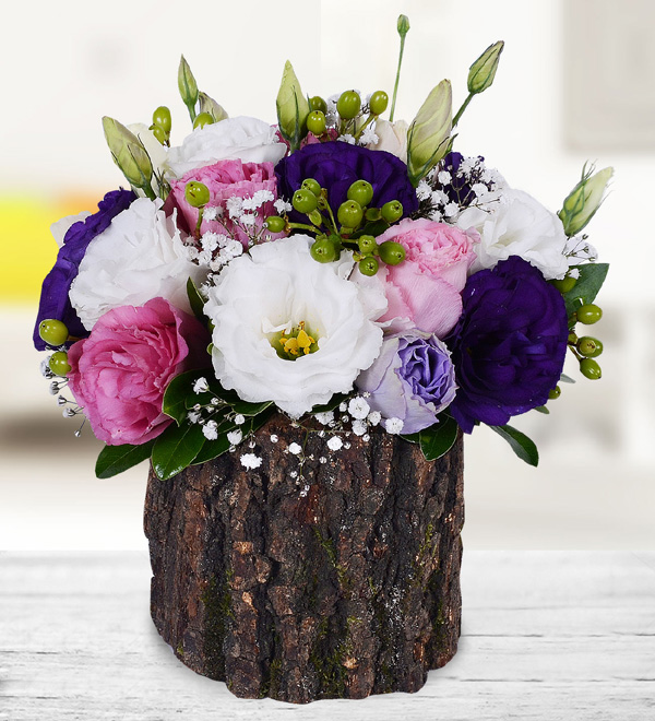 Colourful Lisianthus in Log