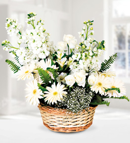 White Gillyflower Rose Gerbera Basket