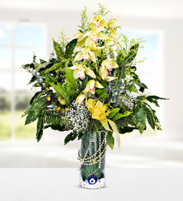 Orchid in Vase