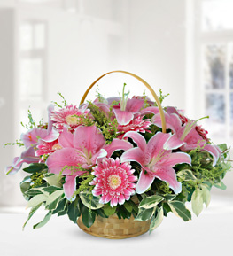 Pink Lilium Gerbera