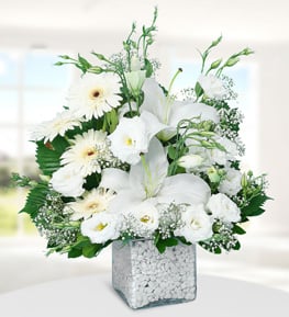 White Lilium White Gerberas