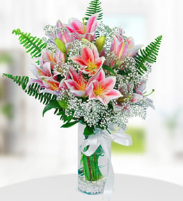 Pink Lilium