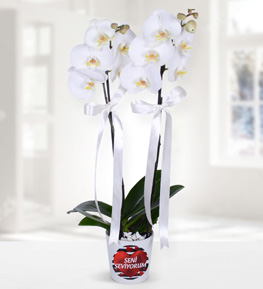 Orchid Themed I Love You
