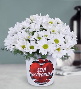 I Love You Daisies