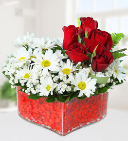 Red Roses and Daisy in Heart
