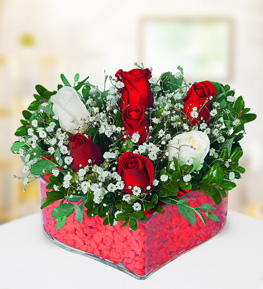 Colorful Roses in Heart