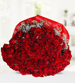 Bouquet of 301 Roses