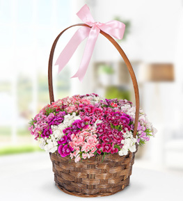 Sweet William Flowers in Basket