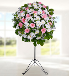 Gerbera ve Daisy in Basket Stand