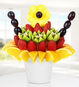 Vitamin Feast