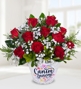 Red Roses Garden