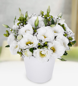 Elegance of White Lisianthus
