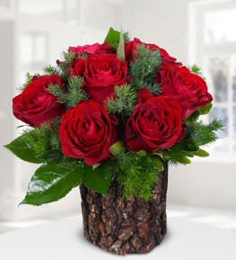 Red Roses in Natural Log
