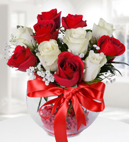 The Power of Love Roses