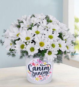 Daisies In A Vase Themed Mommy My Dear
