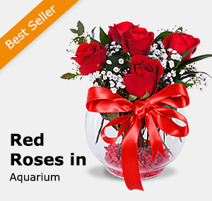 Red Roses in Aquarium