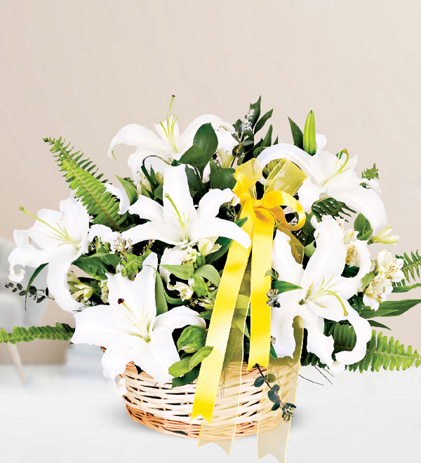 White Casablanca Lilium Basket