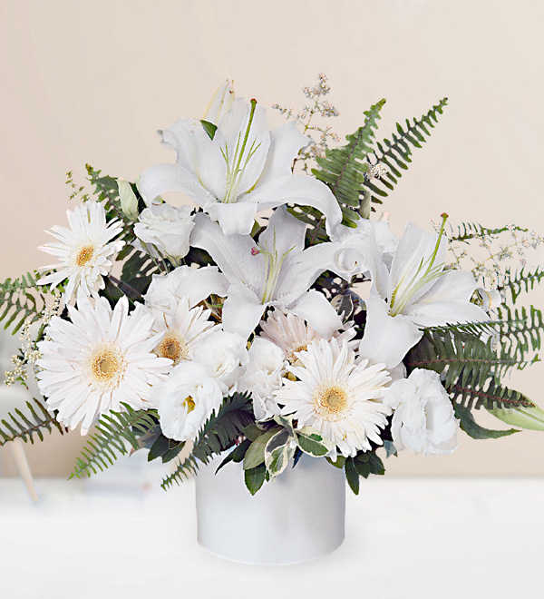 White Lilium Gerbera