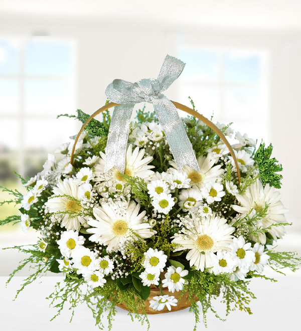 White Gerbera and Chrysanthemums in Basket