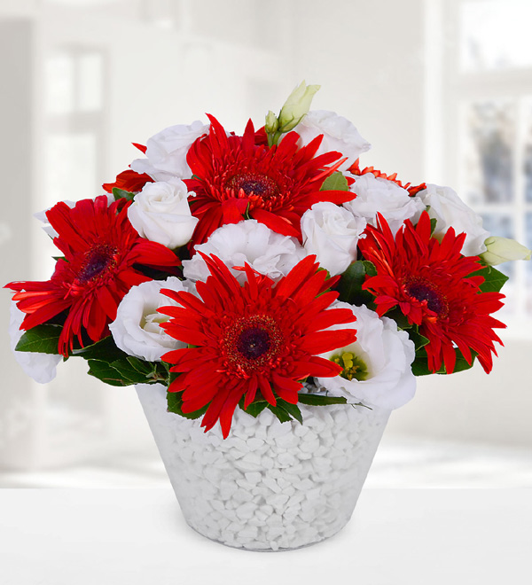 Red Gerbera and Lisianthus