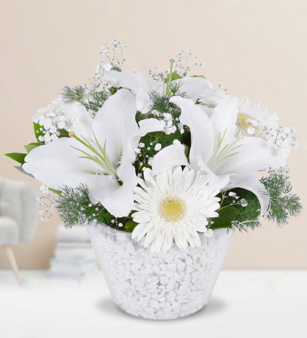 White Lilium and White Gerbera