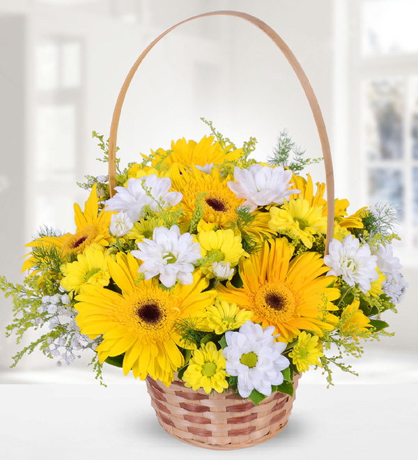 Yellow Gerbera and Chrysanthemums