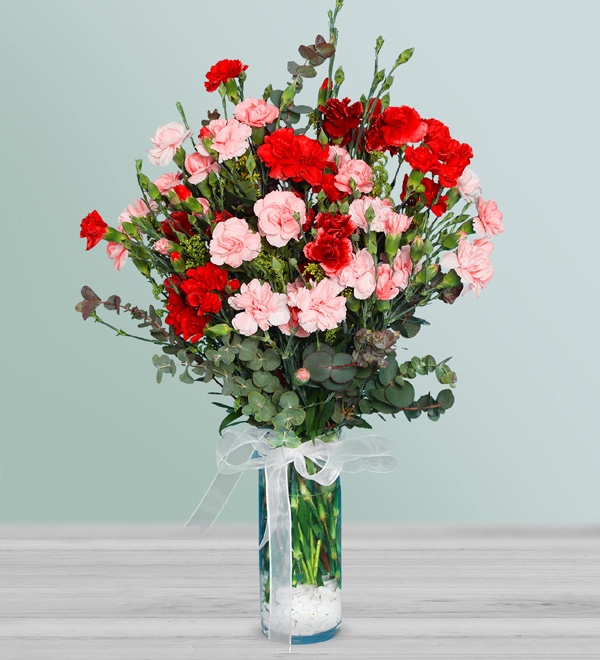 Red Carnations in Vase