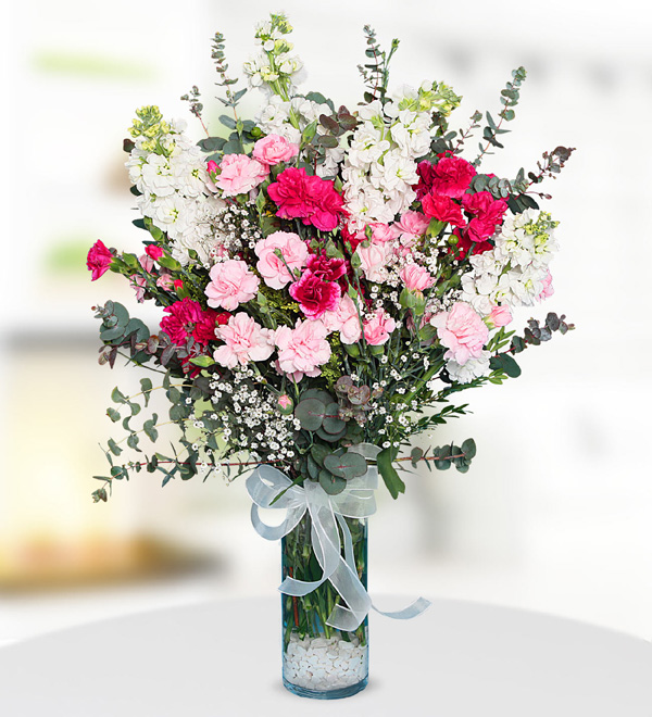 White Gillyflowers and Pink Carnations