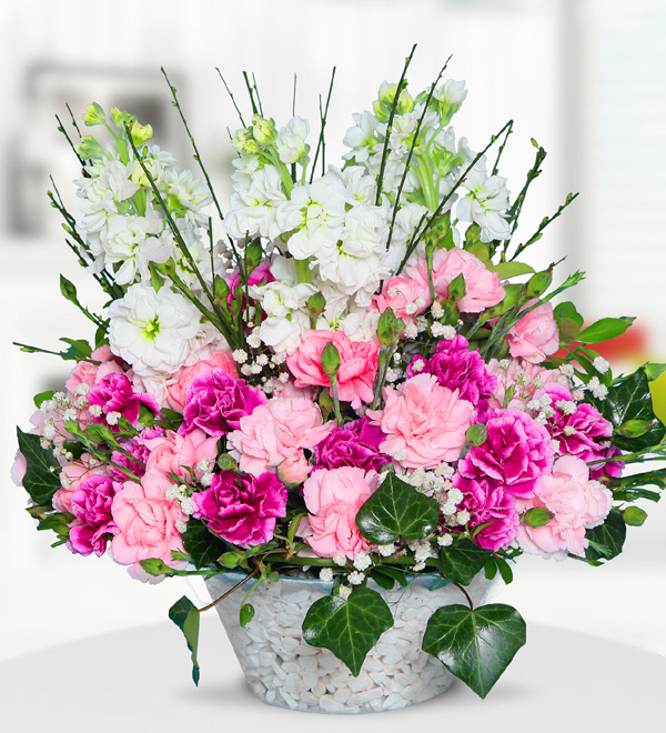 Carnations and Gillyflowers in Vase