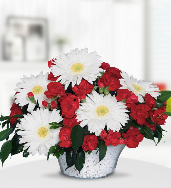 White Gerberas and Red Carnations