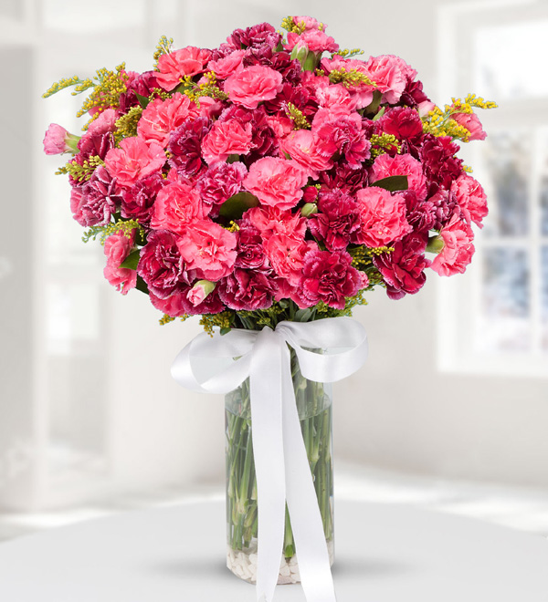 Carnations in Vase