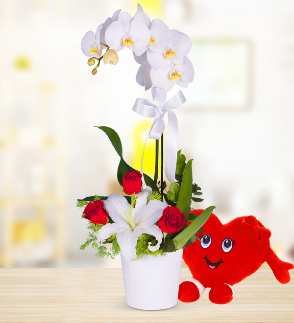 Orchid Rose and Lilium Arrangement