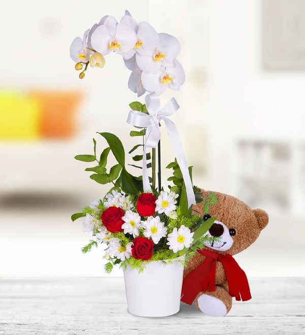 Orchid Rose and Daisies Arrangement