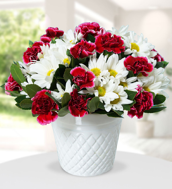 Pink Carnations and Daisies in Ceramic Vase