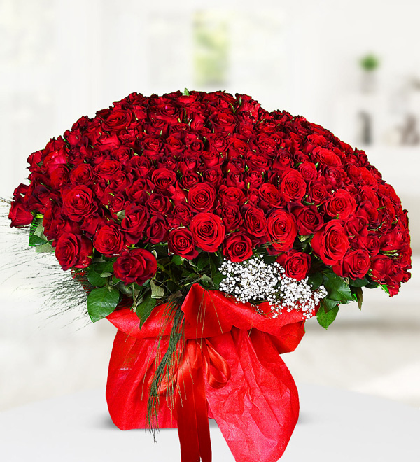 Bouquet of 501 Roses