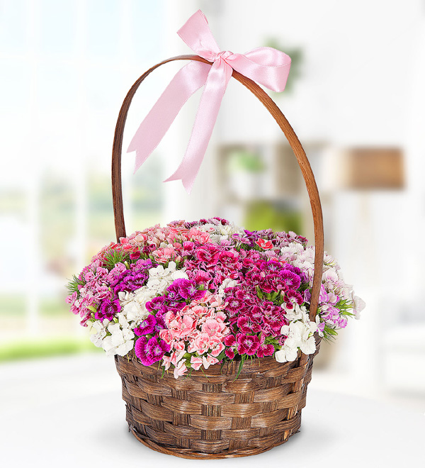 Sweet William Flowers in Basket