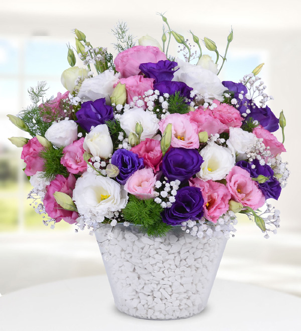 Colorful Lisianthus