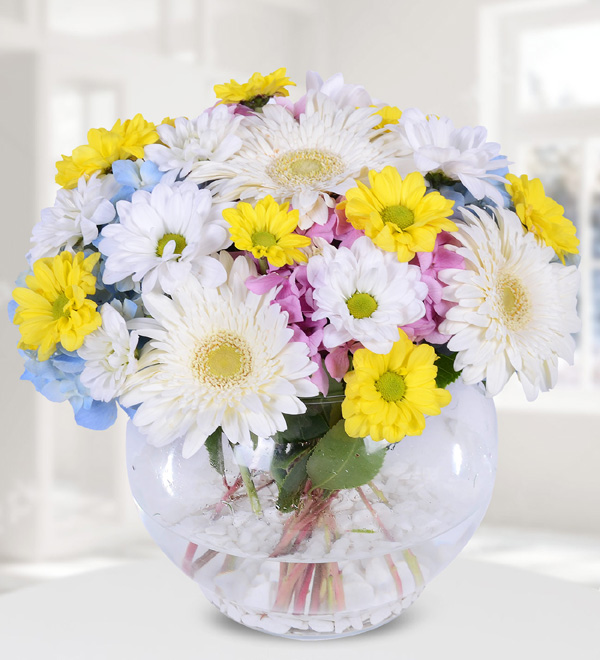 Colorful Daisies in Bell Glass