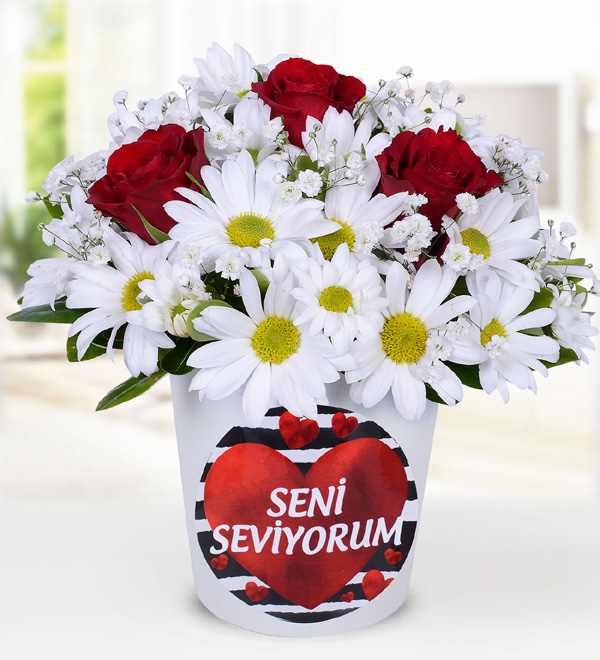 White Daisy and Red Roses Arrangement