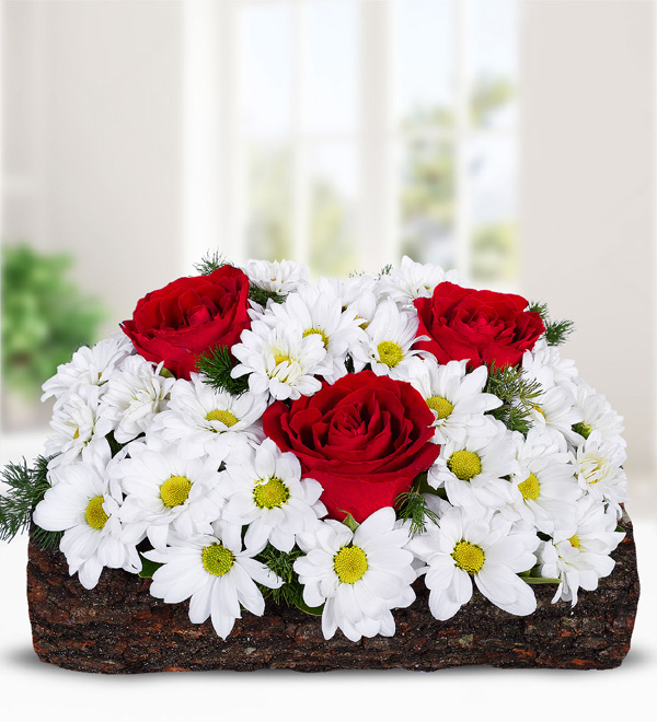 White Daisy and Red Rose in Log