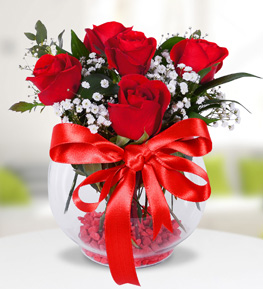 5 Red Roses in Aquarium