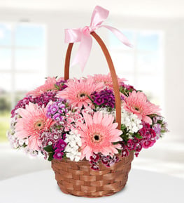Sweet William Flowers and Gerbera