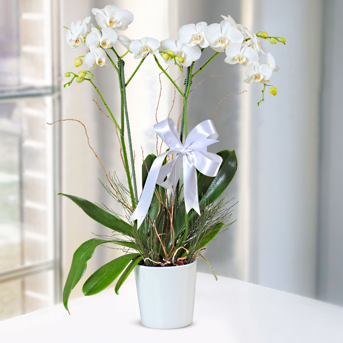 Send flowers Turkey, White Orchid Having Two Stems in