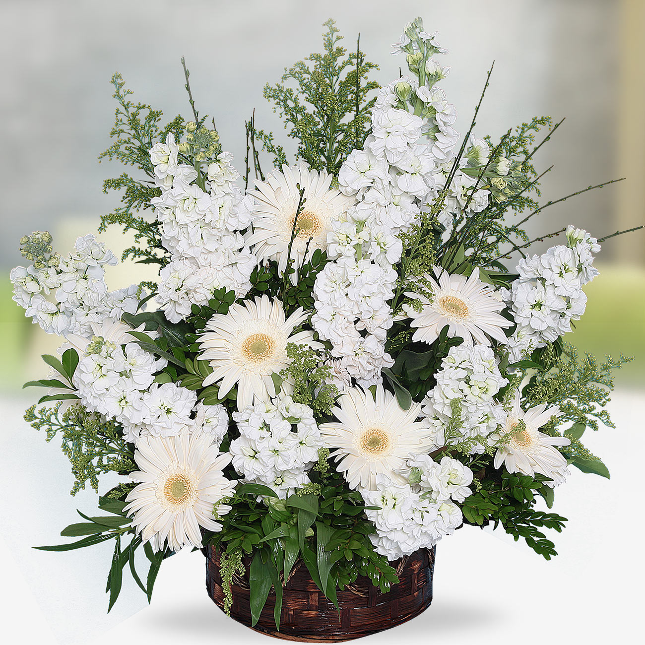 Send flowers Turkey, White Gillyflowers and Gerbera from 17USD